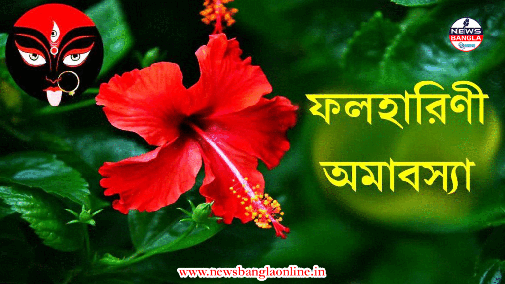 ফলহারিণী অমাবস্যা ২০২৫: তিথি, মাহাত্ম্য ও পূজার নিয়মাবলী