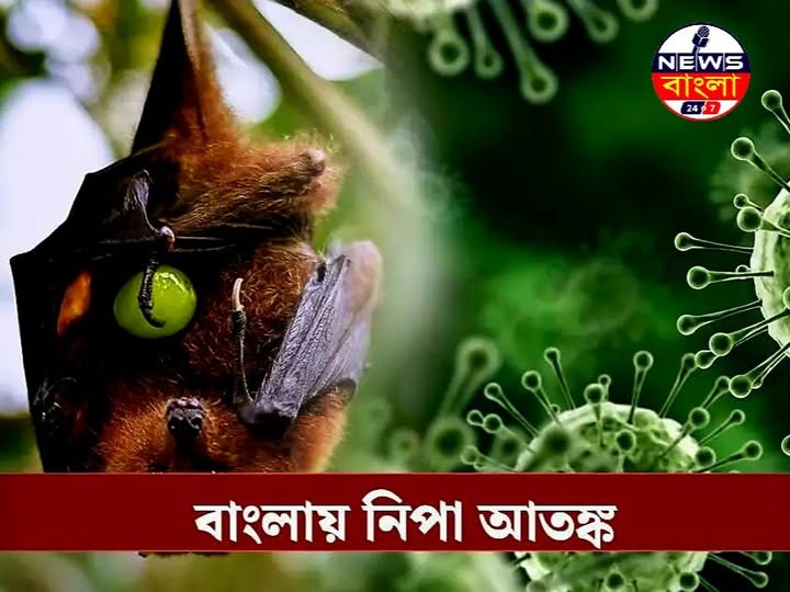 বাংলায় ফের নিপা ভাইরাসের আতঙ্ক, আক্রান্ত দুই নার্স